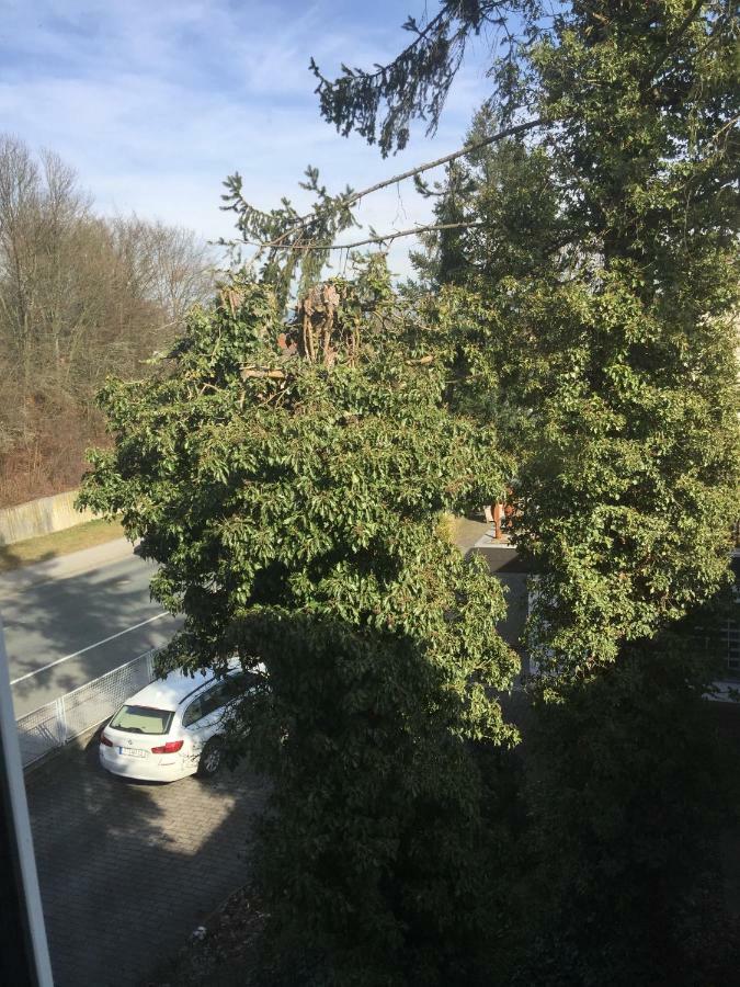 Apartment Rheingold Bayreuth Exterior foto